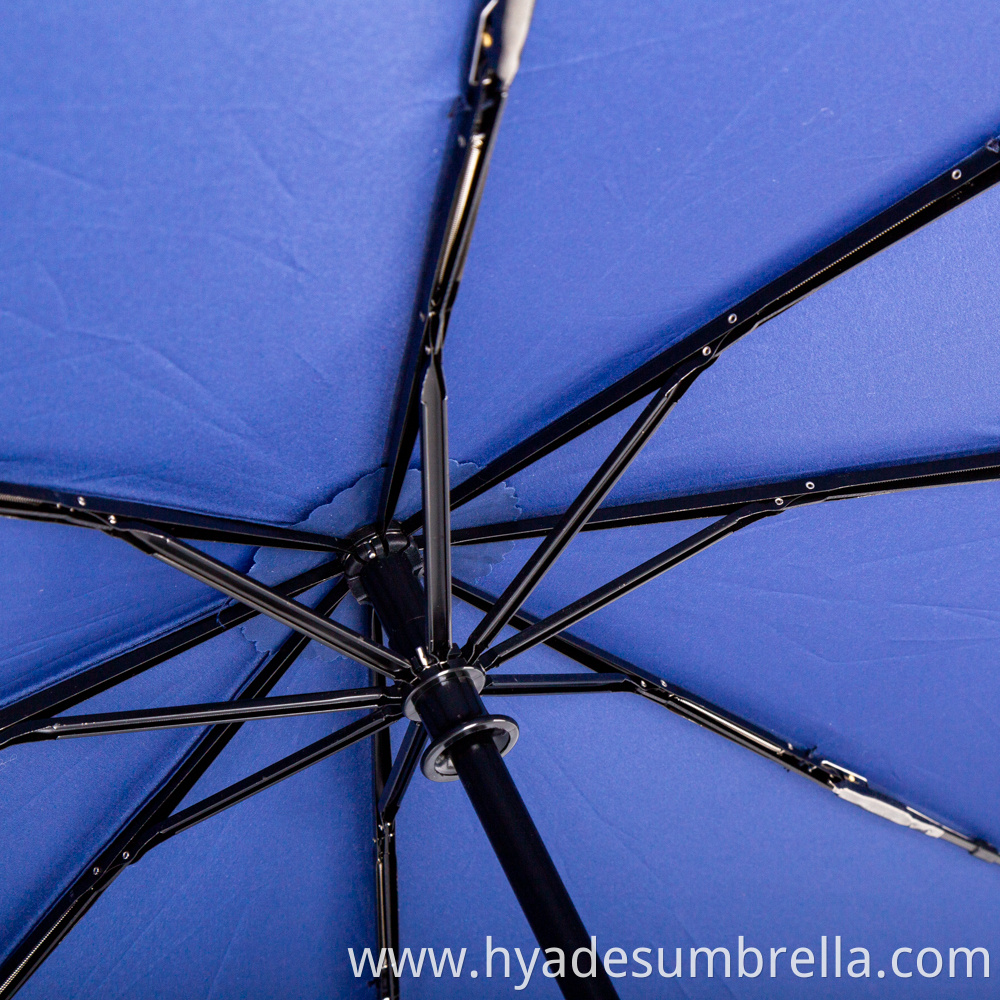 Storm Proof Umbrella